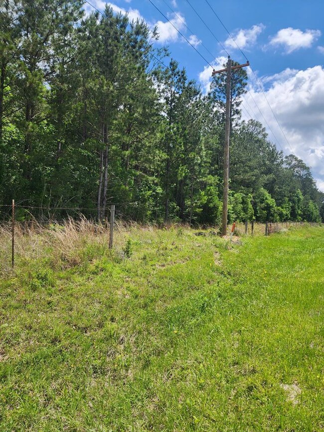 NHN Spring Hill Rd, Poplarville, MS 39470 - photo 3