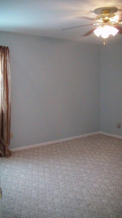 9825 Tyler St, Crown Point, IN 46307 - photo 4