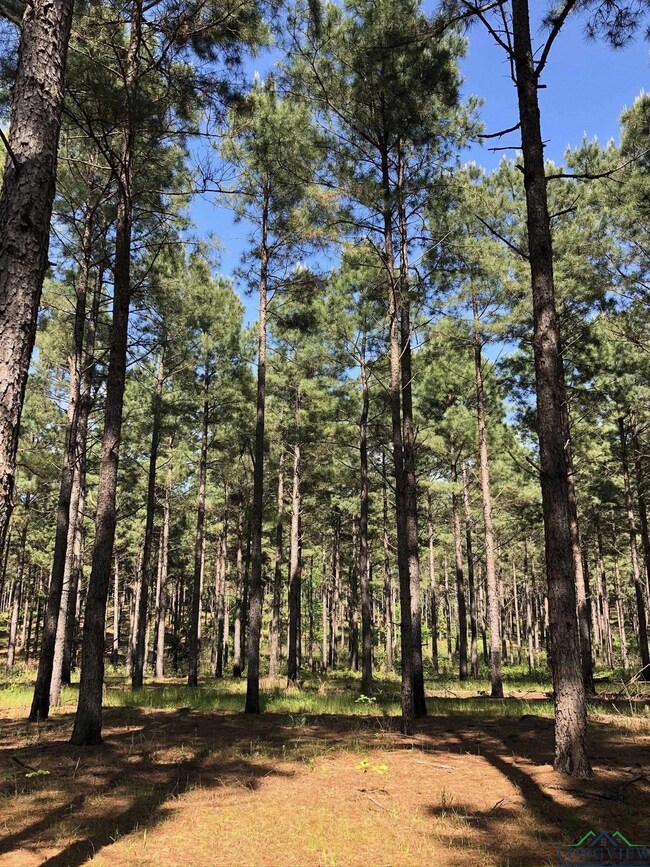 TBD Cr 3659, Queen City, TX 75572 - photo 4