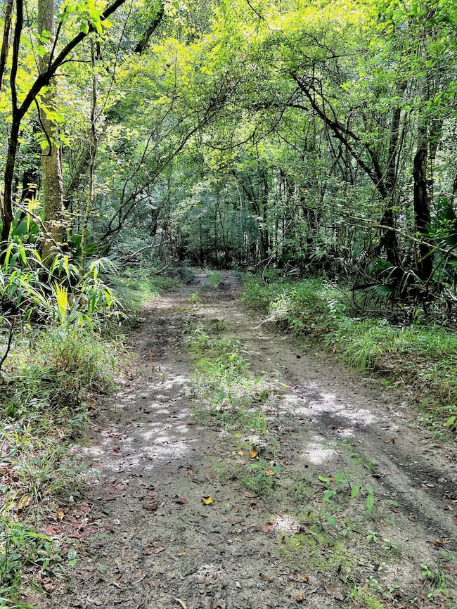 River Access road