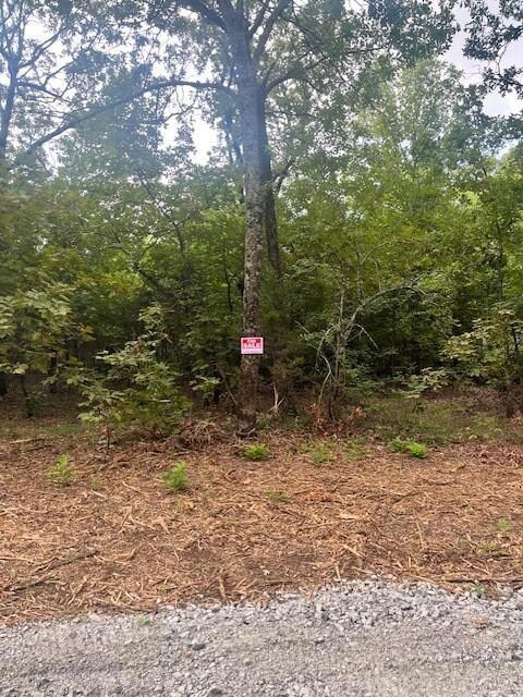 0000 Piney Creek Rd, Eufaula, OK 74432 - photo 7