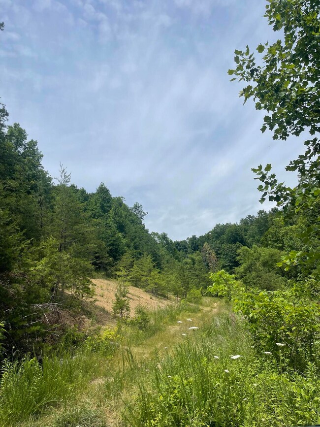 1553 Allen Rd, Booneville, KY 41314 - photo 2