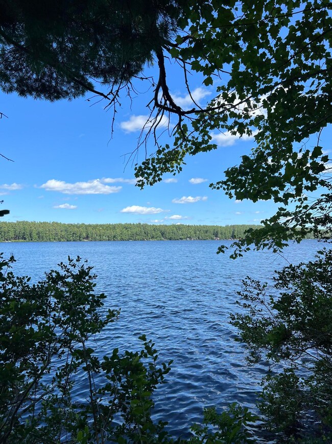 View from the lot