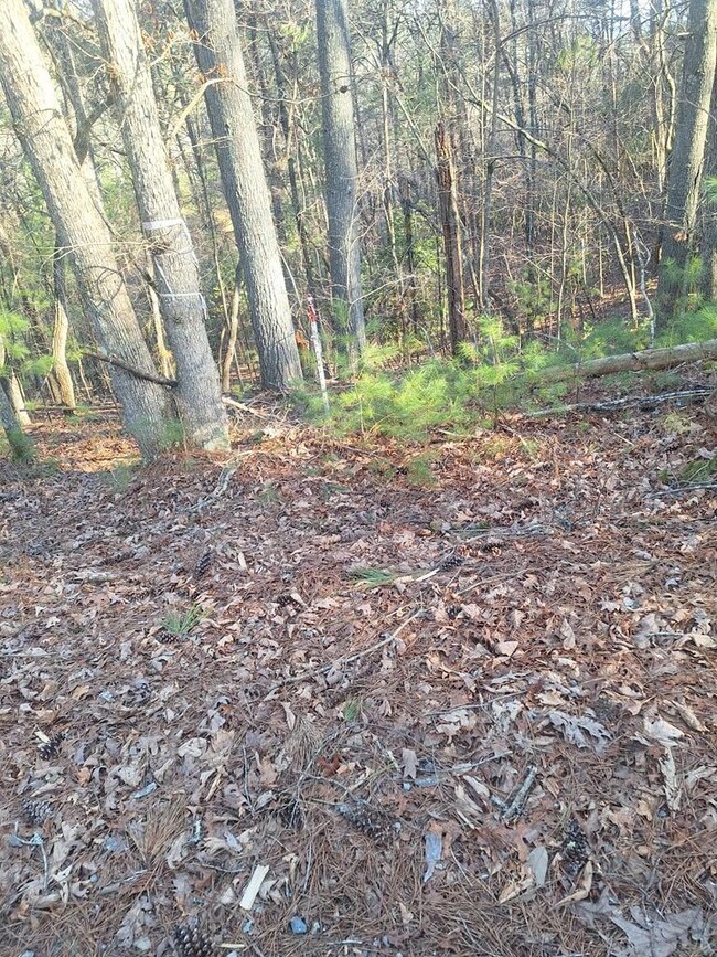 0 Toccoa River Ln unit 402049, Mineral Bluff, GA 30559 - photo 5