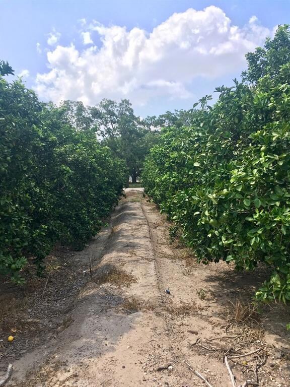 300 N Hutto Rd, Donna, TX 78537 - photo 5