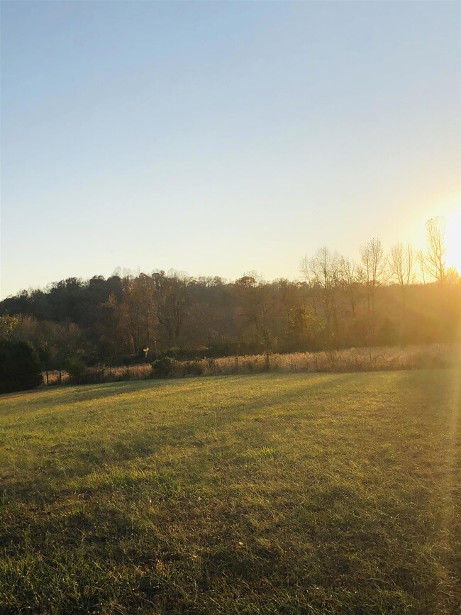 1106 Hurricane Creek Rd, Stewart, TN 37175 - photo 6