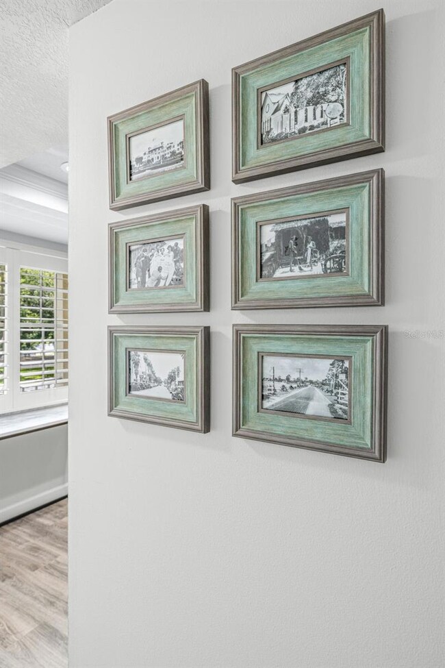 946 Virginia St unit 207, Dunedin, FL 34698 - photo 6