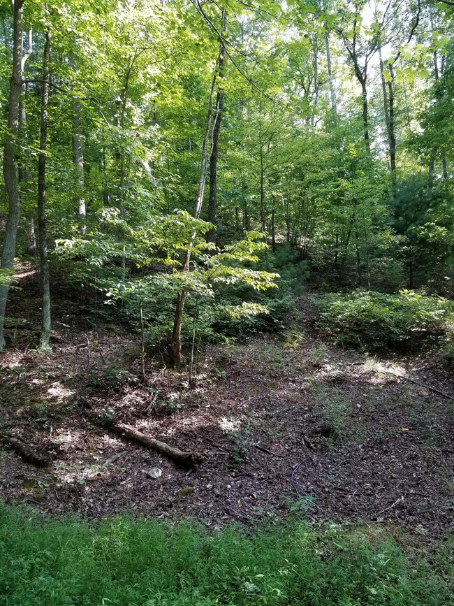 4 Goode Mountain