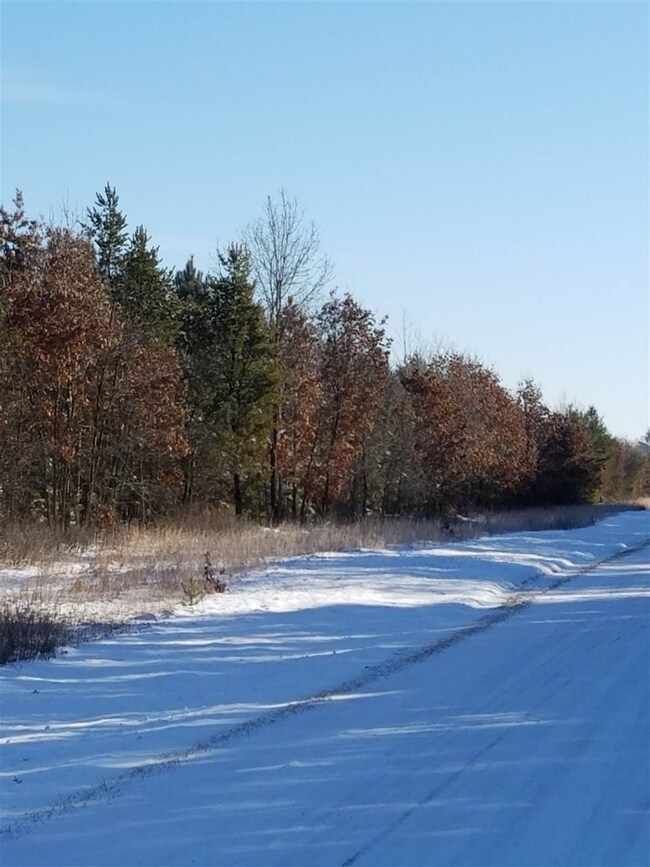 ON Cypress Ave unit Meteor 8314-2, Friendship, WI 53934 - photo 3