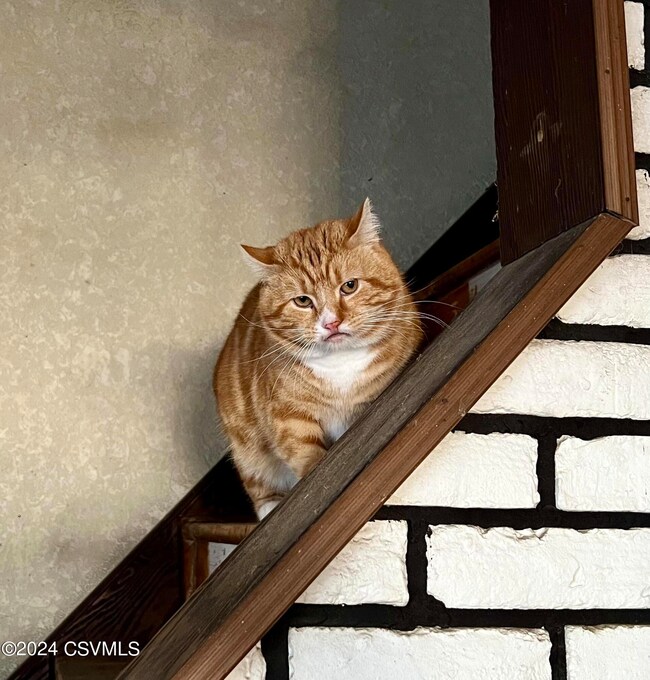 1340 W State St, Coal Township, PA 17866 - photo 2