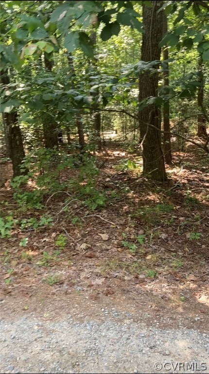 0 Bohannons Landing unit 2232256, Dunnsville, VA 22454 - photo 3