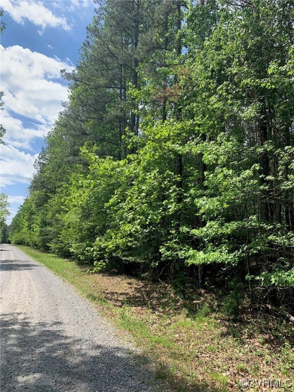 0 Skyron Ct, King William, VA 23086 - photo 3