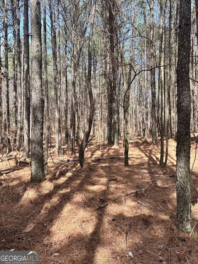 0 Autry Rd SW unit 10489984, Plainville, GA 30733 - photo 4