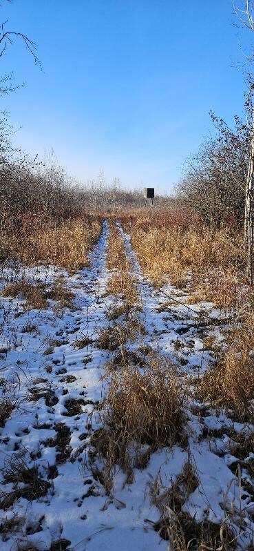 Parcel 3 Willow Rd NE, Carlos, MN 56319 - photo 2