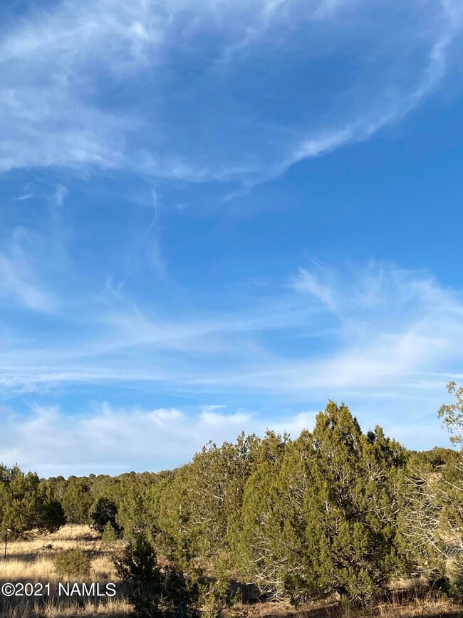 1025 Joseph Dr unit 158, Ash Fork, AZ 86320 - photo 4