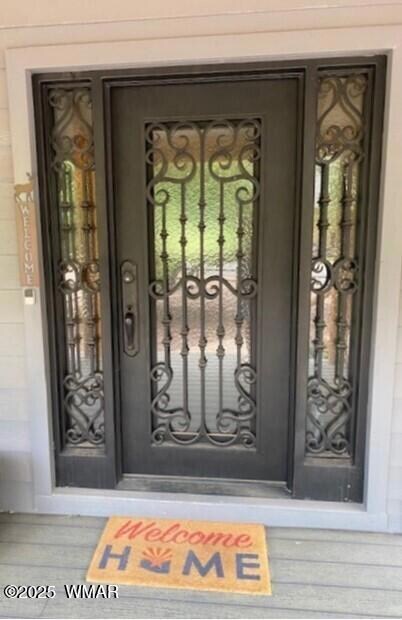 Beautiful steel and glass door