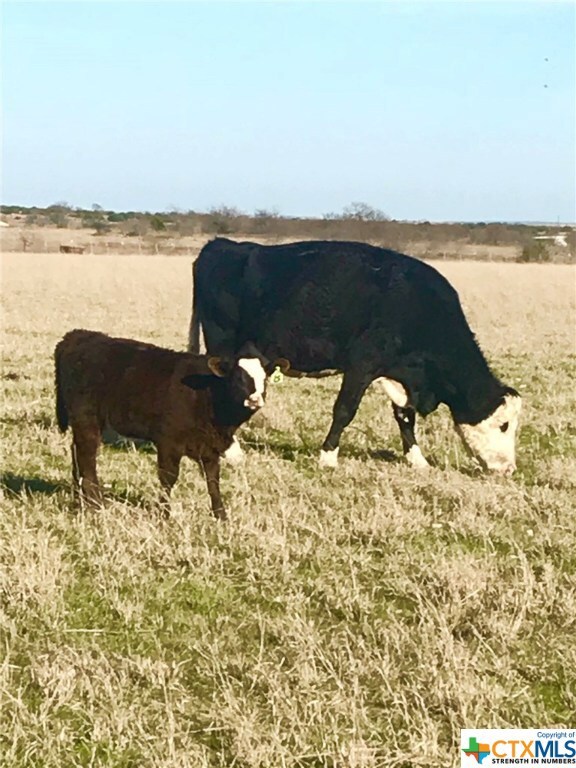 1960 Fm 580, Copperas Cove, TX 76522 - photo 3