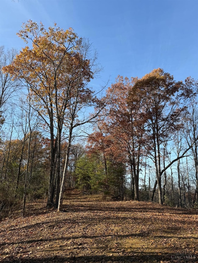 0 Ohio 775, Willow Wood, OH 45696 - photo 5