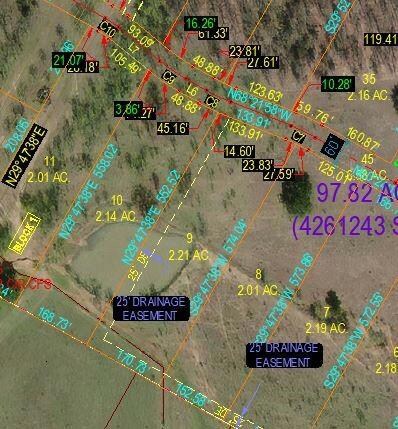 141 Tobiano Trace, Brock, TX 76087 - photo 4