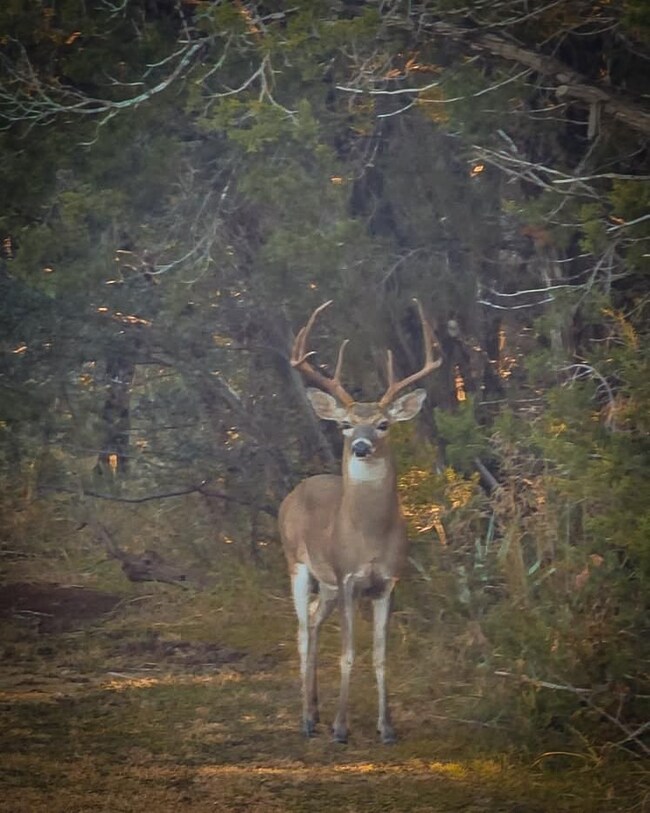 Farm To Market Road 2484, Killeen, TX 76542 - photo 7