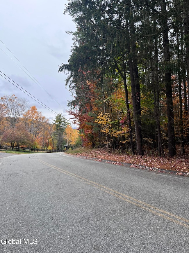 L35 Truesdale Hill Rd, Lake George, NY 12845 - photo 2