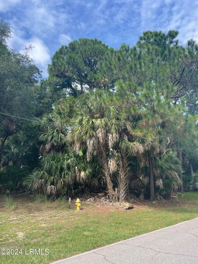 664 Dolphin Rd, Fripp Island, SC 29920 - photo 5