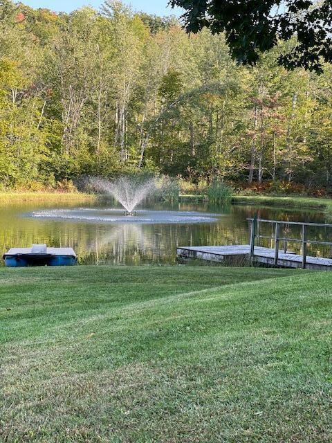pond