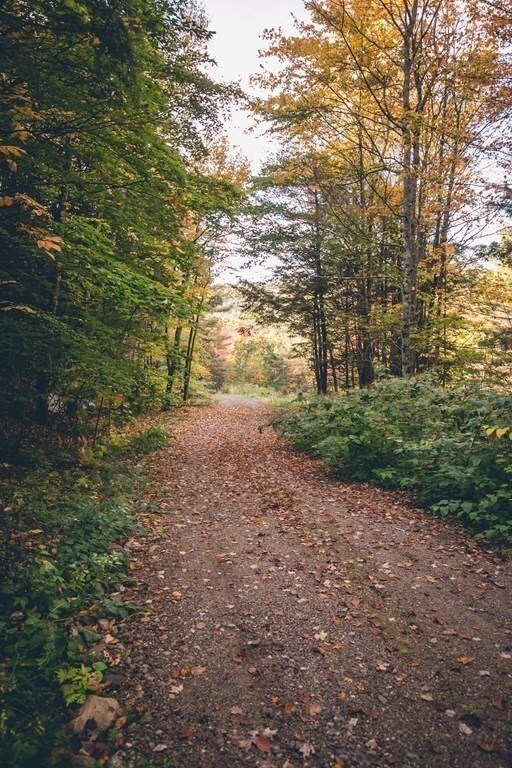 607 Fox Hill Rd, Bernardston, MA 01337 - photo 5