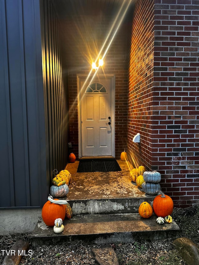 461 S Shady Ave, Damascus, VA 24236 - photo 4