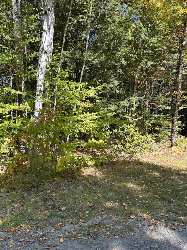 M6L16-12-3 Beaver Brook Rd, Bowerbank, ME 04426 - photo 2