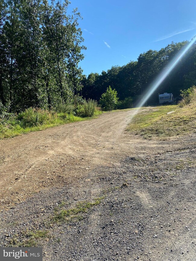 1400 Outlaw Trail, Maysville, WV 26833 - photo 7