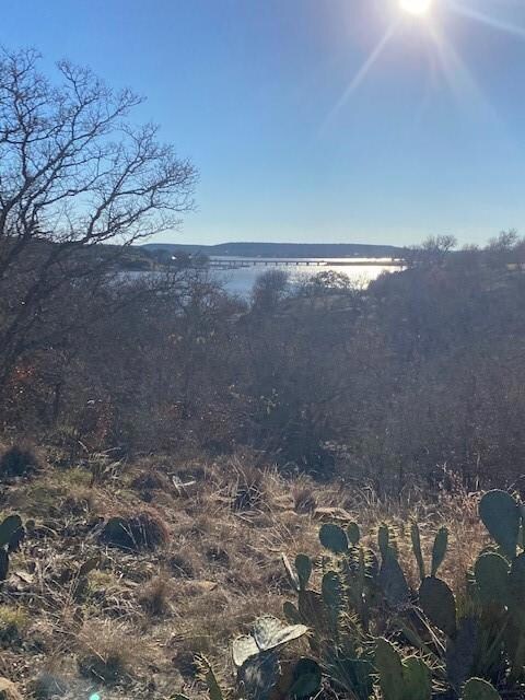 TBD Rolling Hills Rd, Brownwood, TX 76801 - photo 4