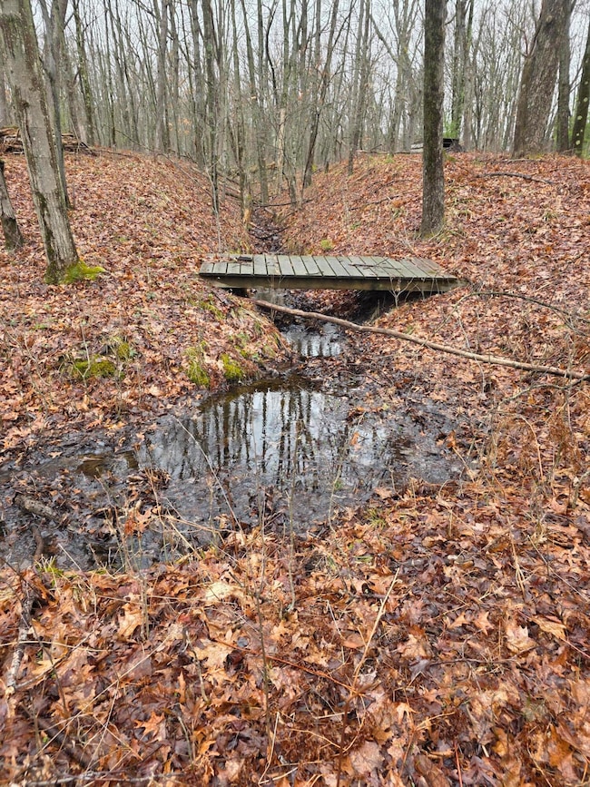 0 V/L N Hunters Way, Monroe Township, MI 49349 - photo 4