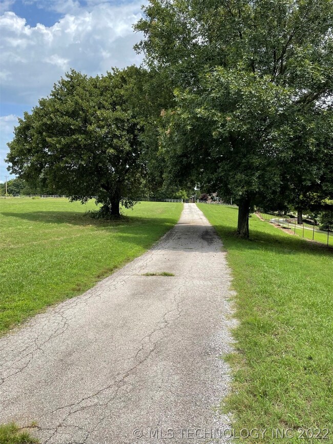 Trees along the entrance road