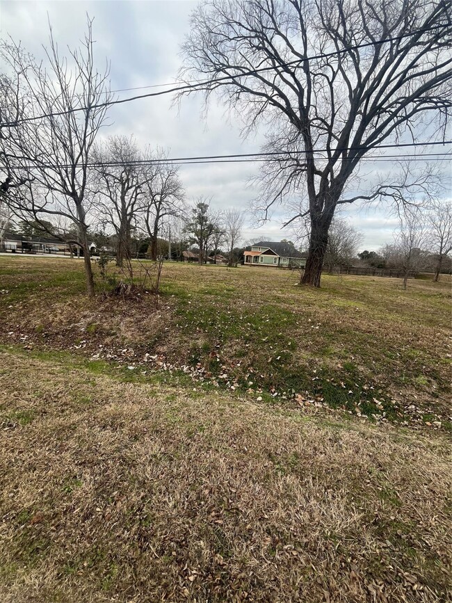 7303 Banyan St, Houston, TX 77028 - photo 2