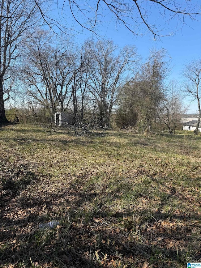 2820 Arlington Ave, Bessemer, AL 35020 - photo 2