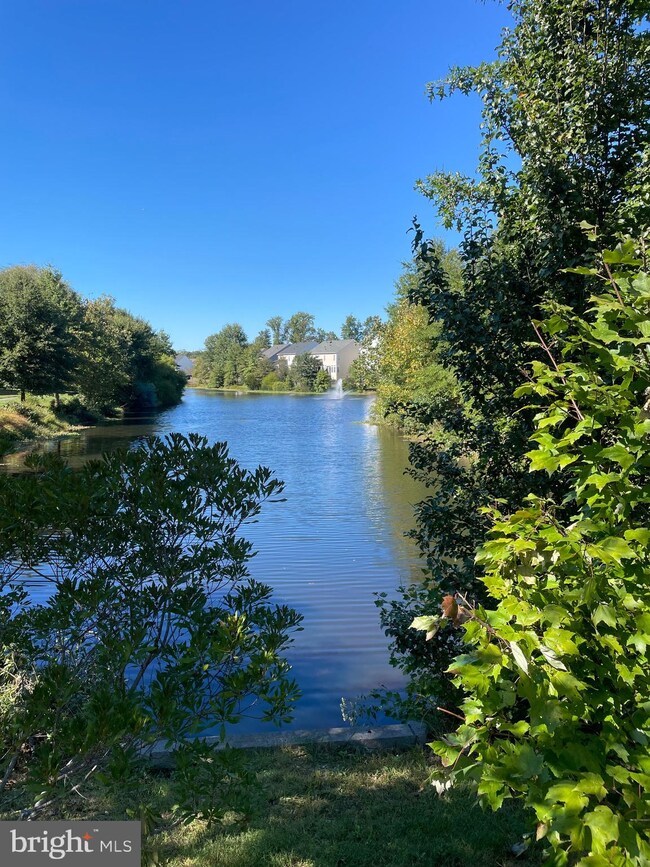 12585 Birkdale Way, Fairfax, VA 22030 - photo 2