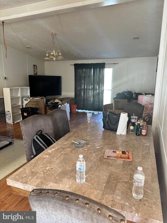 719 Beech Ave, Glenolden, PA 19036 - photo 5