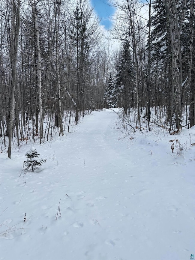 000 Campbell Rd, Clover, WI 54844 - photo 3