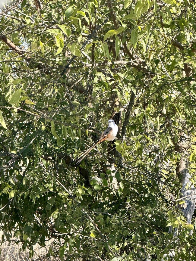 TBD County Road 112, Buckholts, TX 76518 - photo 4