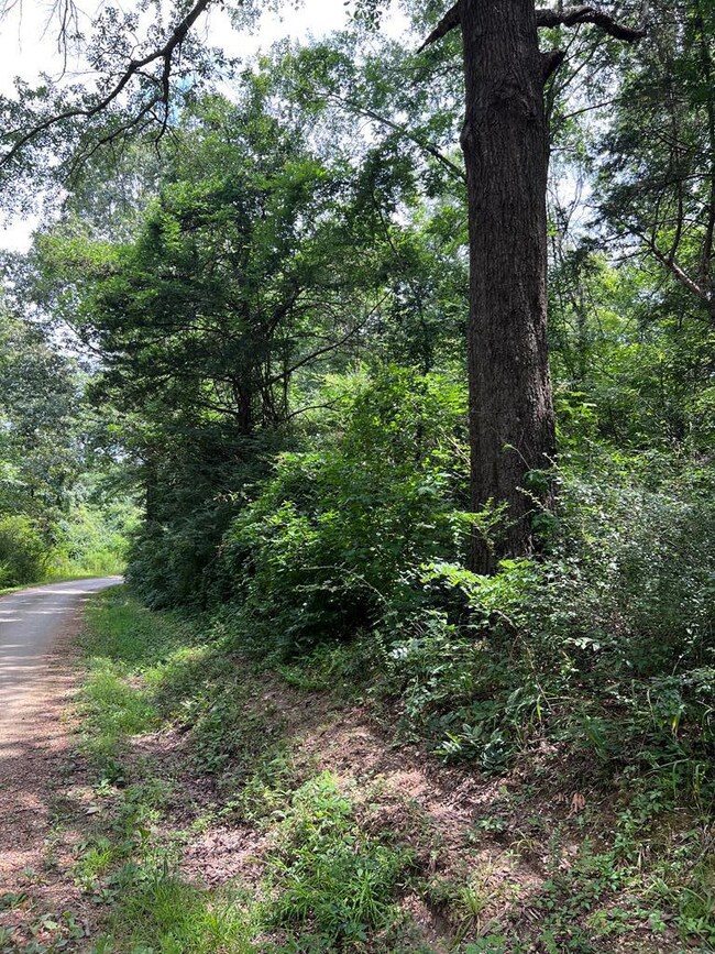 00 Jordan Chapel Rd, Oxford, MS 38655 - photo 2