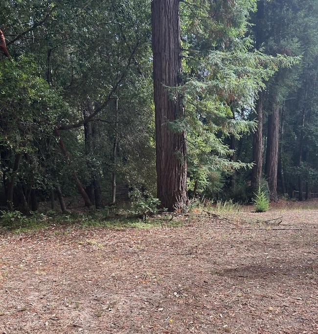 104 Mcpherson Ct, Boulder Creek, CA 95006 - photo 3