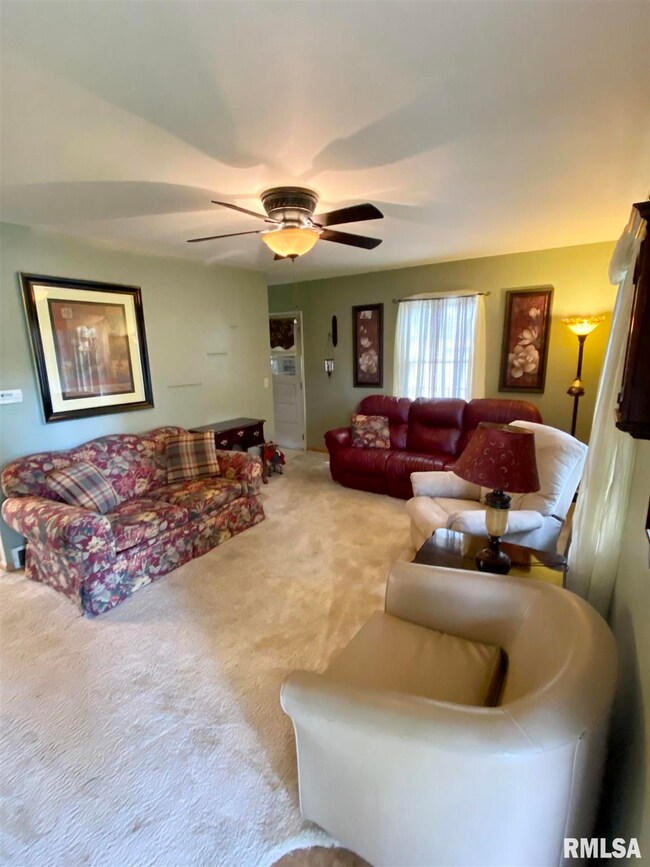 501 E Grant St, Virginia, IL 62691 - photo 7