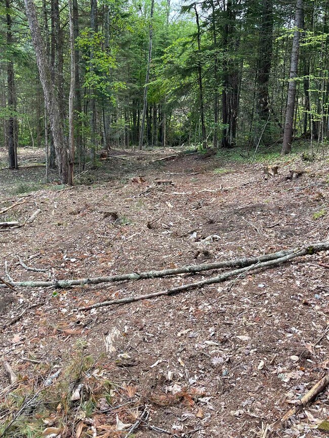 00 Vermont 102, Bloomfield, VT 05905 - photo 5