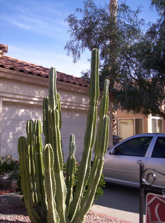 Front landscaping