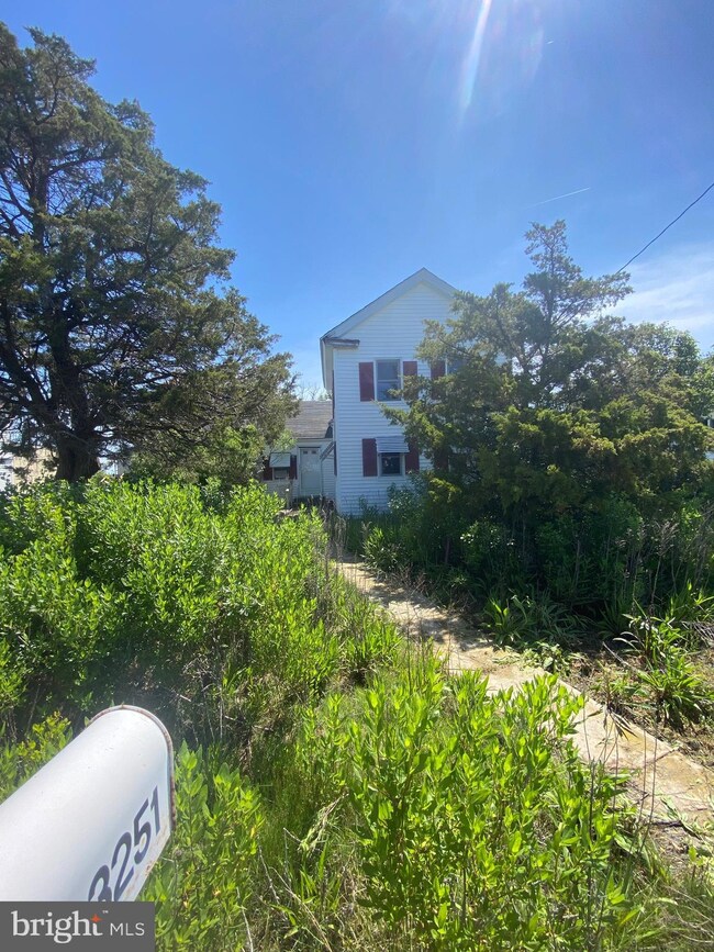 3251 Marsh Rd, Ewell, MD 21824 - photo 4