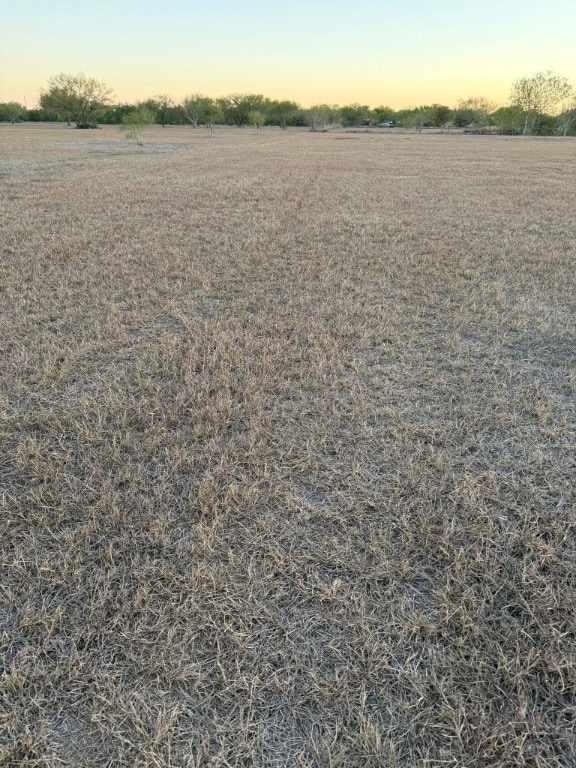 3872 Cobb Ln, Rancho Banquete, TX 78380 - photo 7