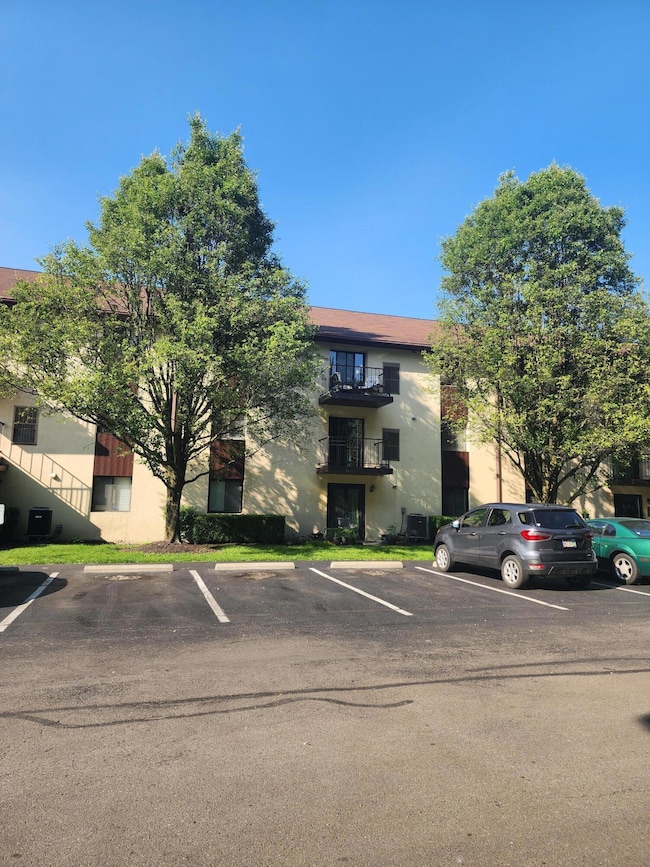 3030 Karl Rd #217