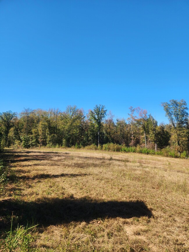 Highway 42, Culloden, GA 31016 - photo 4