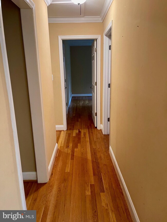 9903 Duncan St, Fairfax, VA 22031 - photo 7